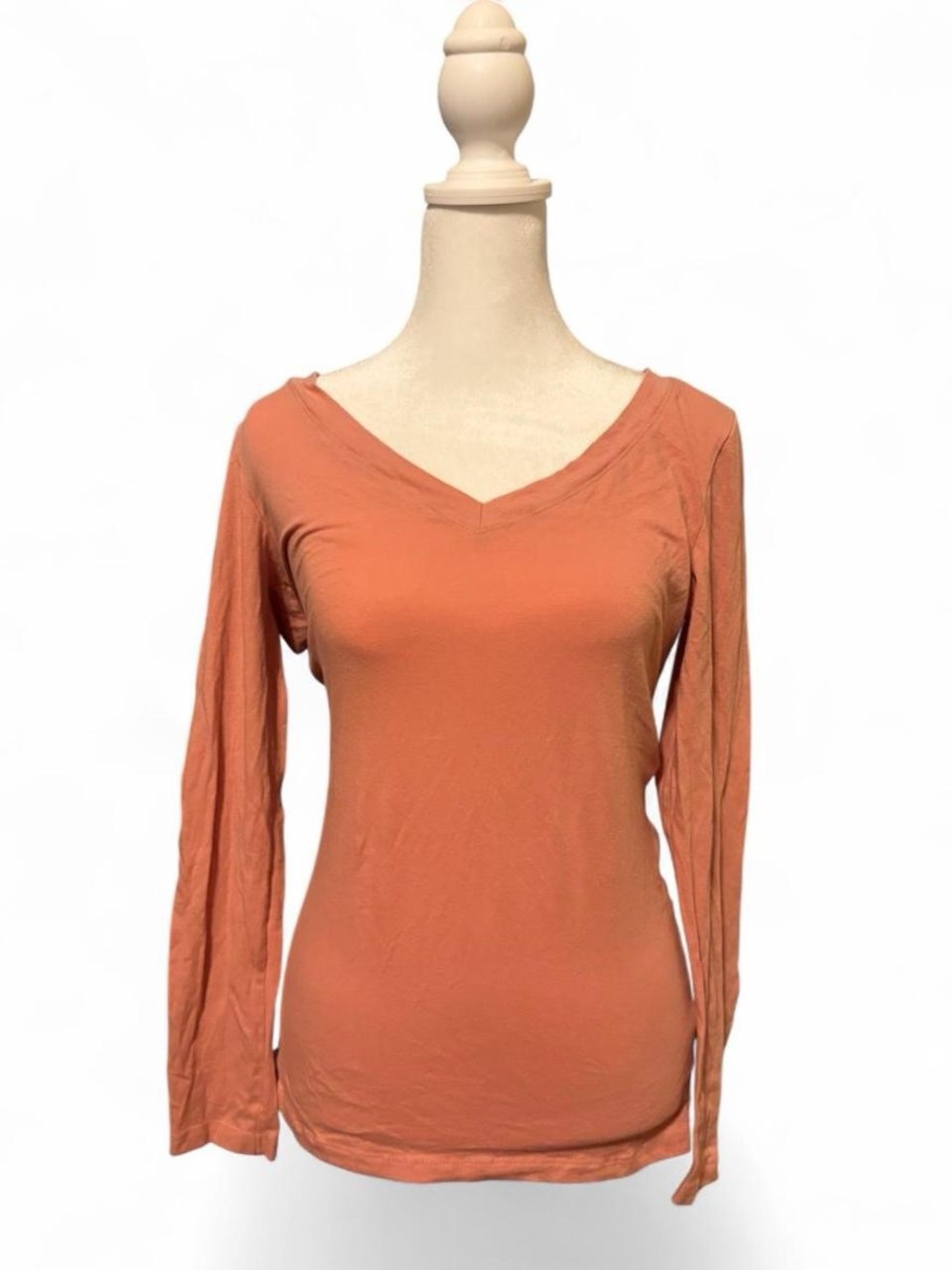 Ambiance Long Sleeve V-Neck Top in coral